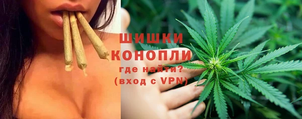 молекула духа Аркадак